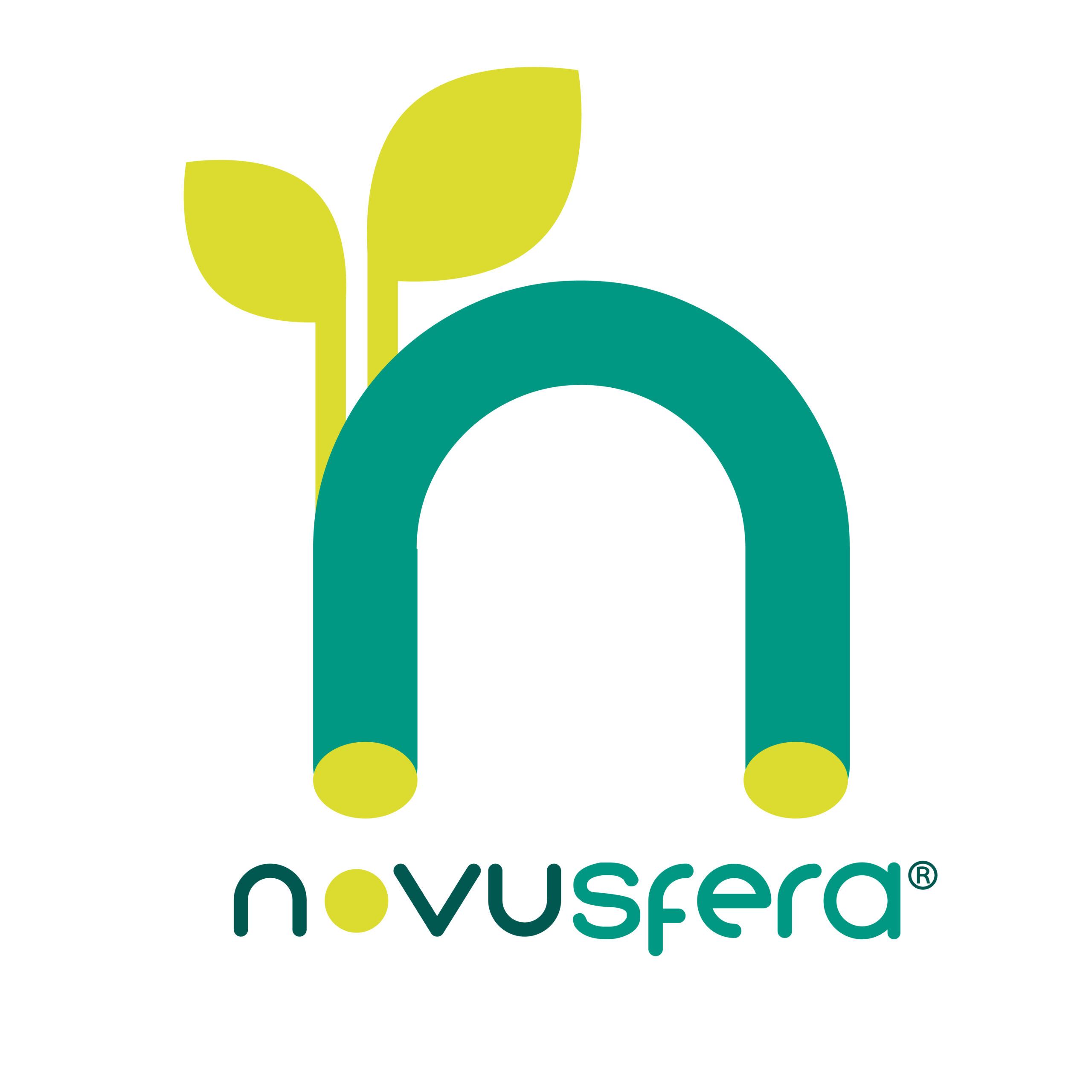 novusfera logo